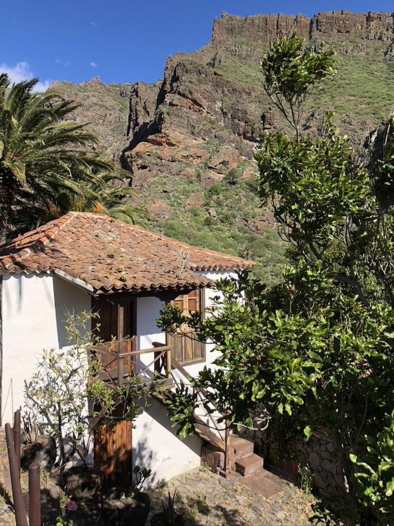 Home2Book El Encanto De La Torre I سانتا كروز دي تينيريف المظهر الخارجي الصورة