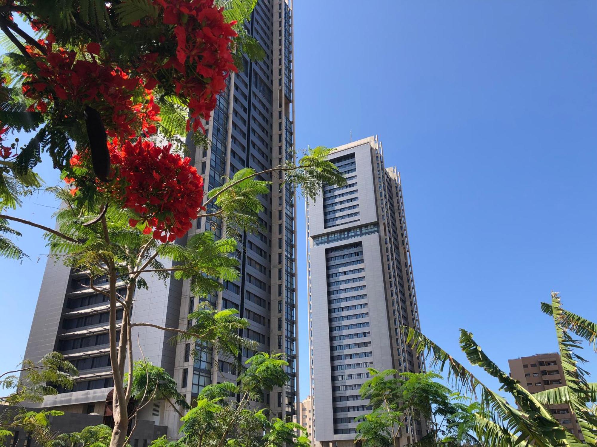 Home2Book El Encanto De La Torre I سانتا كروز دي تينيريف المظهر الخارجي الصورة
